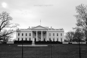 washington para el blog